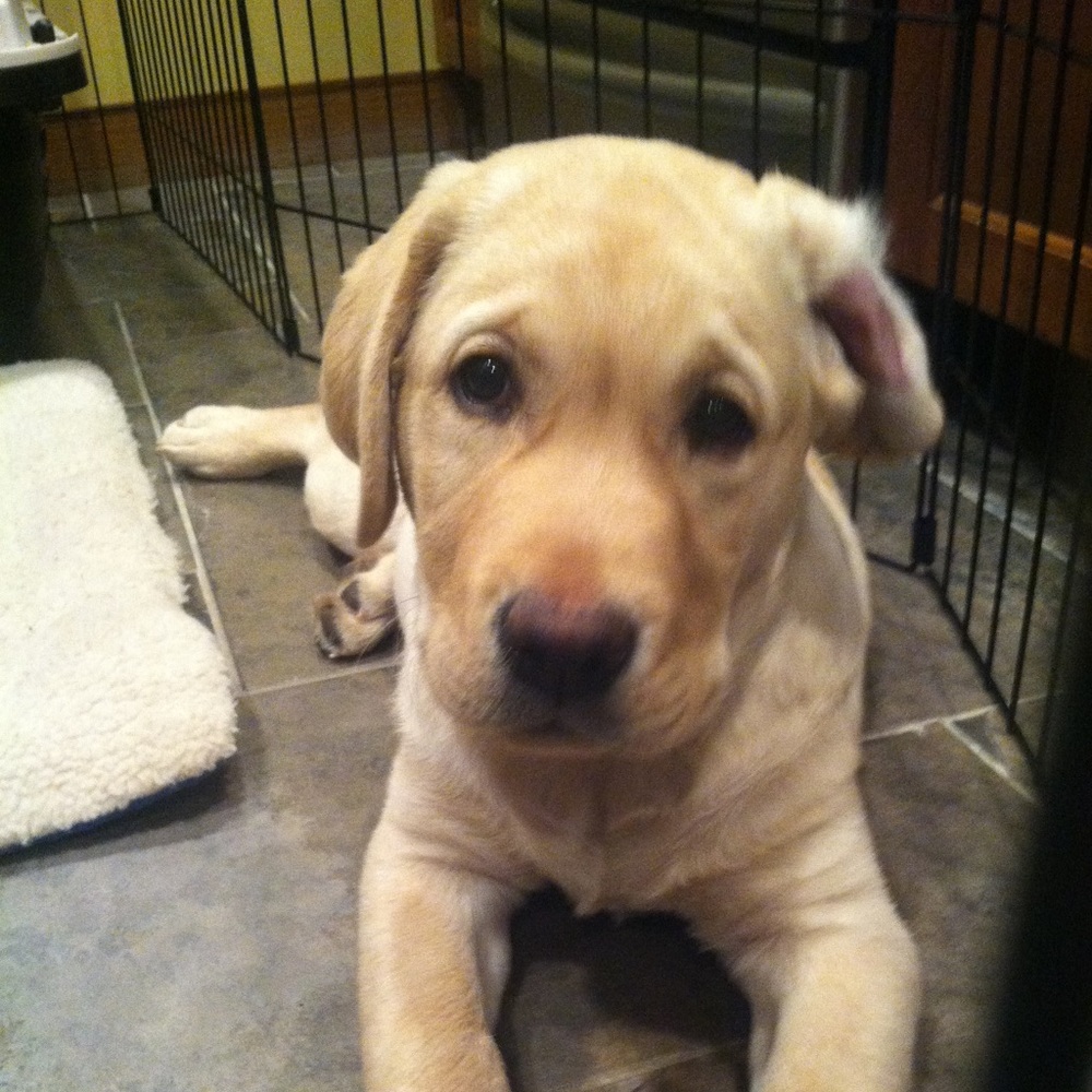 Meet your Posher, Megan